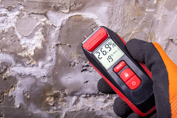 Best DIY Mold Remediation Support Services in Katy, TX