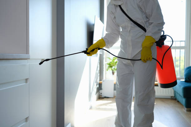 Best Commercial Mold Remediation in Katy, TX