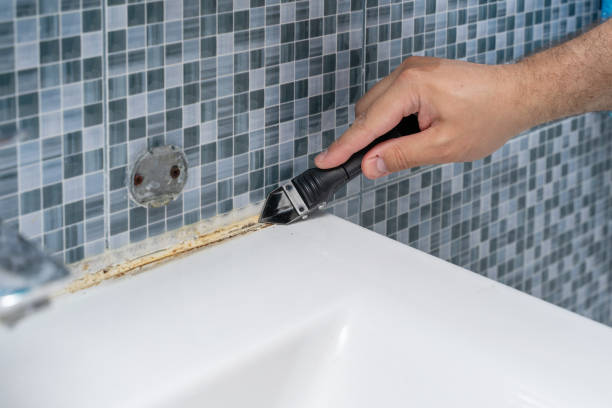 Best Post-Remediation Services in Katy, TX